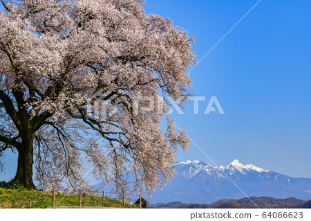 丸塚和八岳 64066623