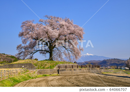 Wanizuka and Yatsugatake Wanizuka and Yatsugatake 64066707