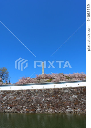 ■甲府城■複製空間■舞鶴城公園■陽光明媚■山梨縣■櫻花盛開 64068589