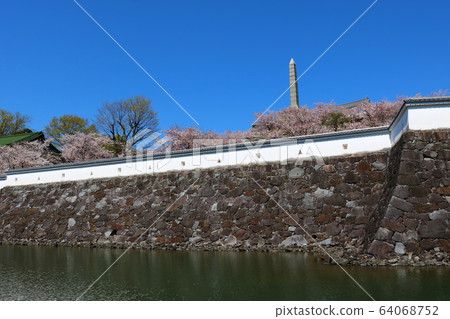 ■ Kofu Castle ■ Maizuru Castle Park ■ Sunny ■ Yamanashi Prefecture ■ Full bloom Sakura 64068752