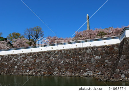 ■ Kofu Castle ■ Maizuru Castle Park ■ Sunny ■ Yamanashi Prefecture ■ Full bloom Sakura 64068754
