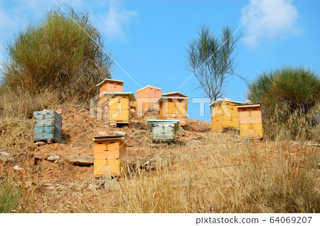 wooden beehives 64069207