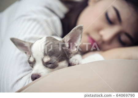 Ralaxation concept. Beautiful woman sleeping with Ralaxation concept. Beautiful woman sleeping with 64069790