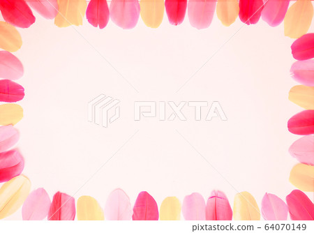 Colored feathers on colorful background 64070149
