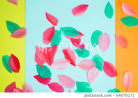 Colored feathers on colorful background 64070151