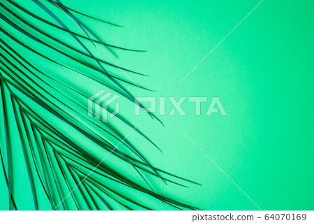 Frame of tropical palm leaves Frame of tropical palm leaves 64070169