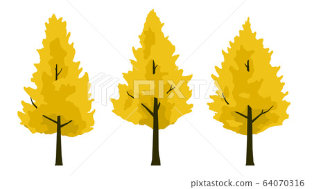 Fall ginkgo biloba tree Fall ginkgo biloba tree 64070316