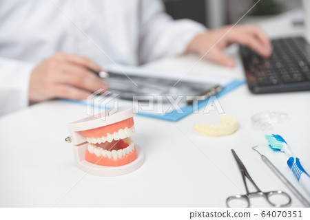 Teeth model in dentist office. Dental care Teeth model in dentist office. Dental care 64070351