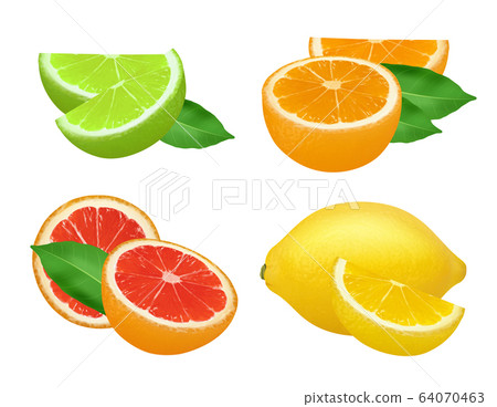 Citrus products. Lime lemon grapefruits and orange natural healthy fruits vector food realistic picture 64070463
