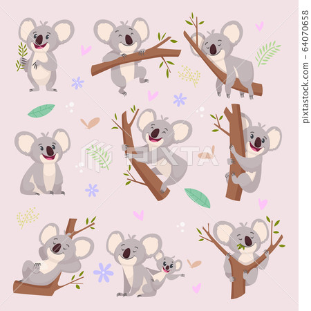 Koala characters. Wild bear australia cartoon furry animals vector illustrations 64070658