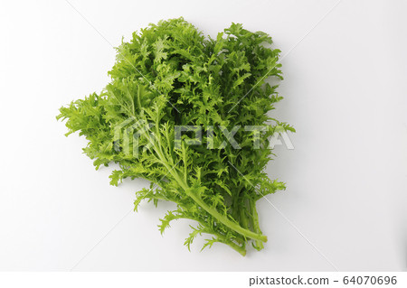 Wasabi Vegetables Wasabi Vegetables 64070696