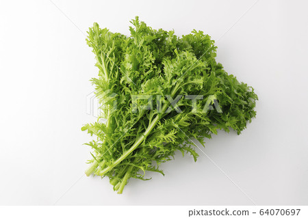 Wasabi Vegetables 64070697