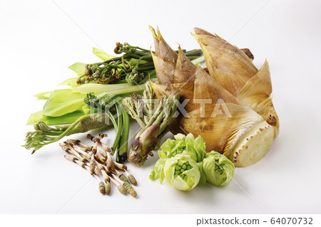 Spring wild plant Spring wild plant 64070732