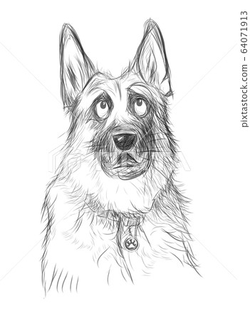 German shepherd asking for food or for going out German shepherd asking for food or for going out 64071913