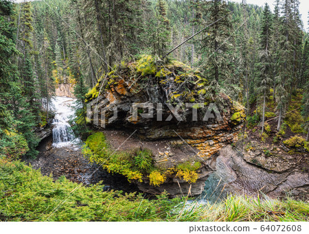 Johnston Canyon in Bow valley with stream flowing 64072608