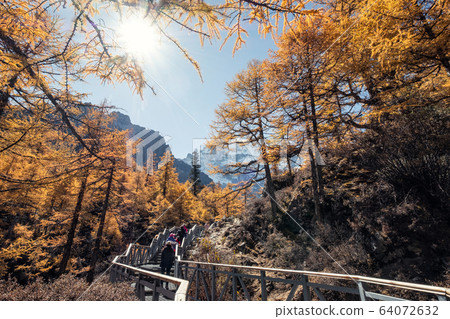 Traveler trekking in autumn forest with holy 64072632