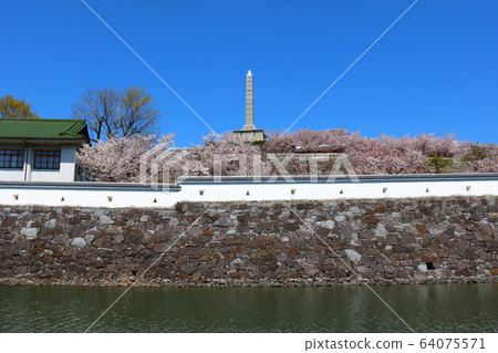 ■ Kofu Castle ■ Maizuru Castle Park ■ Sunny ■ Yamanashi Prefecture ■ Full bloom Sakura ■ Kofu Castle ■ Maizuru Castle Park ■ Sunny ■ Yamanashi Prefecture ■ Full bloom Sakura 64075571
