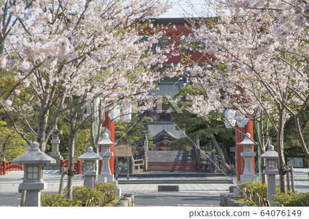 Tsurugaoka Hachimangu Shrine at Kamakura City, Kanagawa Prefecture Tsurugaoka Hachimangu Shrine at Kamakura City, Kanagawa Prefecture 64076149