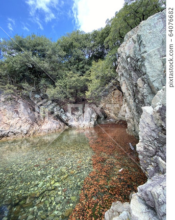 Senzhenjima 64076682