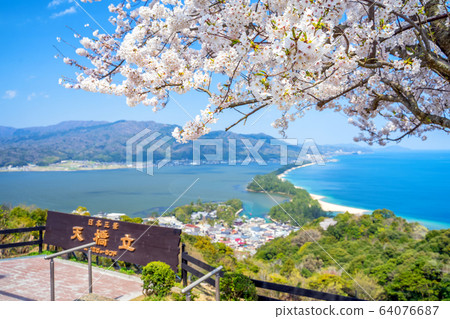 Amanohashidate在日本三個景點Tango Peninsula Amanohashidate盛開 64076687
