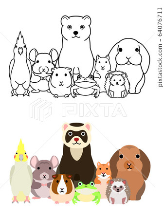 Pet group set whole body Pet group set whole body 64076711