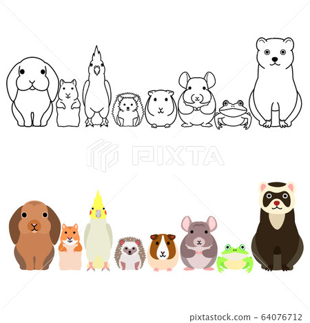 Pet border set whole body Pet border set whole body 64076712