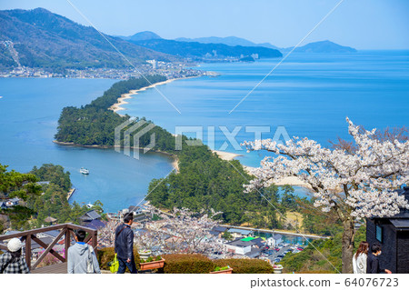 Amanohashidate在日本三個景點Tango Peninsula Amanohashidate盛開 Amanohashidate在日本三個景點Tango Peninsula Amanohashidate盛開 64076723