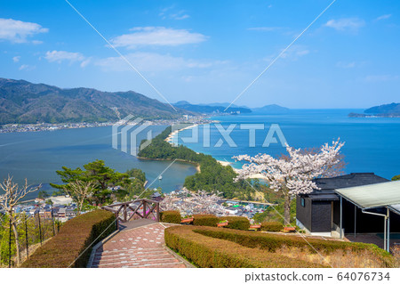 Amanohashidate in three scenic spots in Japan Tango Peninsula Amanohashidate in full bloom 64076734