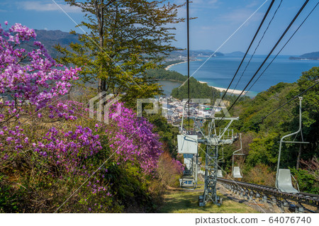 Amanohashidate in three scenic spots in Japan Tango Peninsula Amanohashidate in full bloom 64076740