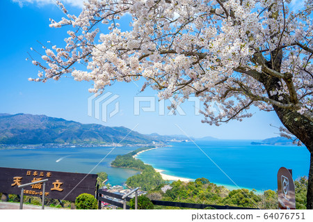 Amanohashidate在日本三個景點Tango Peninsula Amanohashidate盛開 64076751