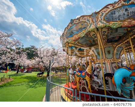 Amanohashidate in three scenic spots in Japan Tango Peninsula Amanohashidate in full bloom Amanohashidate in three scenic spots in Japan Tango Peninsula Amanohashidate in full bloom 64076776