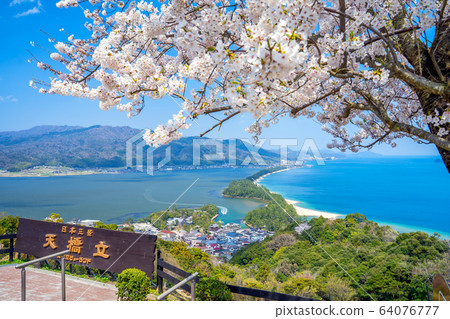Amanohashidate in three scenic spots in Japan Tango Peninsula Amanohashidate in full bloom Amanohashidate in three scenic spots in Japan Tango Peninsula Amanohashidate in full bloom 64076777