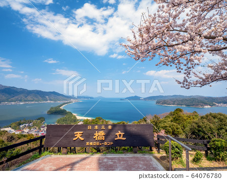Amanohashidate in three scenic spots in Japan Tango Peninsula Amanohashidate in full bloom 64076780