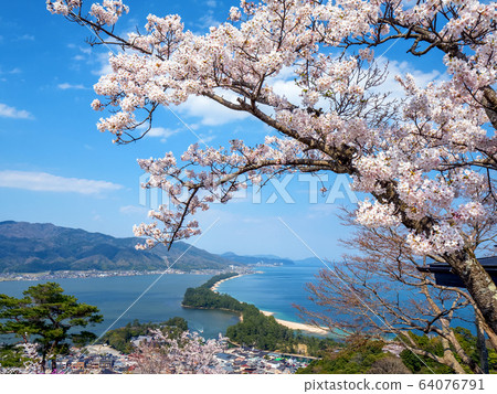 Amanohashidate in three scenic spots in Japan Tango Peninsula Amanohashidate in full bloom Amanohashidate in three scenic spots in Japan Tango Peninsula Amanohashidate in full bloom 64076791