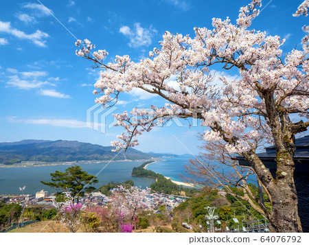 Amanohashidate在日本三個景點Tango Peninsula Amanohashidate盛開 Amanohashidate在日本三個景點Tango Peninsula Amanohashidate盛開 64076792