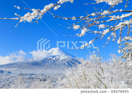 Fuji_Scenic winter view of Mt.Fuji Fuji_Scenic winter view of Mt.Fuji 64076945