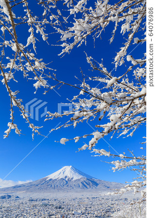Fuji_Scenic winter view of Mt.Fuji Fuji_Scenic winter view of Mt.Fuji 64076986