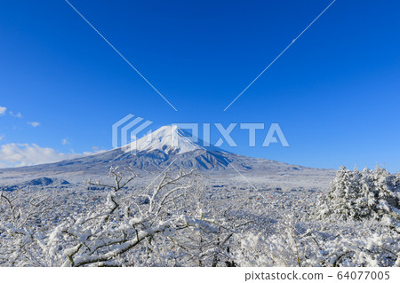 富士山_富士山的冬季風景 富士山_富士山的冬季風景 64077005