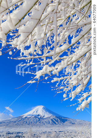 富士山_富士山的冬季風景 富士山_富士山的冬季風景 64077009