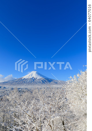 Fuji_Scenic winter view of Mt.Fuji 64077016