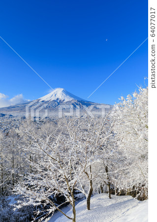 Fuji_Scenic winter view of Mt.Fuji Fuji_Scenic winter view of Mt.Fuji 64077017