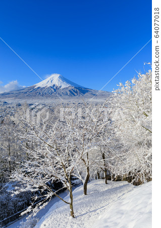 富士山_富士山的冬季風景 富士山_富士山的冬季風景 64077018