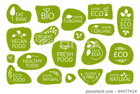 Eco green label leaf natural product vector set 64077419