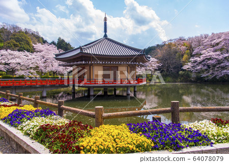 Spring Abe Bunshuin Kinkaku Umido Spring Abe Bunshuin Kinkaku Umido 64078079