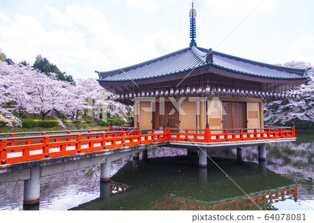 Spring Abe Bunshuin Kinkaku Umido Spring Abe Bunshuin Kinkaku Umido 64078081