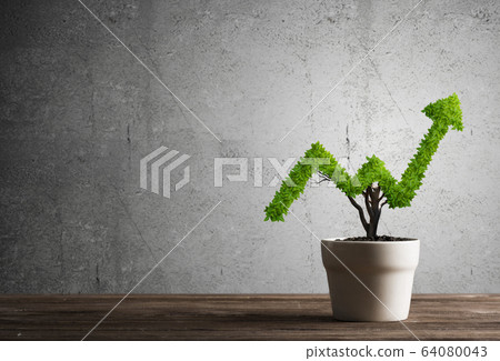 Concept of investment income and growth with tree in pot Concept of investment income and growth with tree in pot 64080043