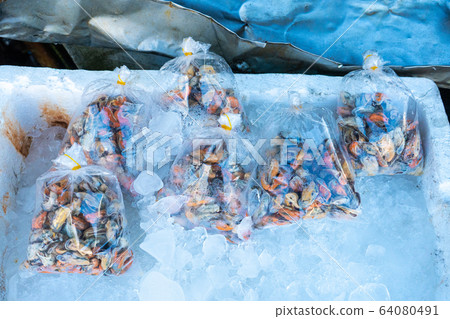 Fresh seafood on the counter at the fish market by Fresh seafood on the counter at the fish market by 64080491