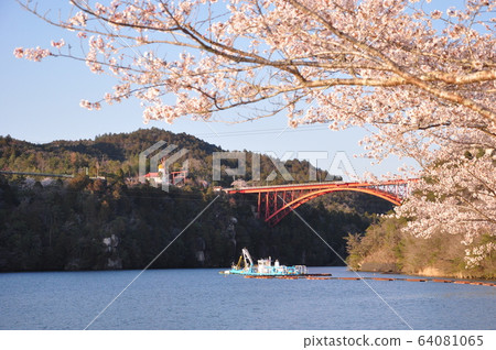 Enakyo的櫻花 Enakyo的櫻花 64081065