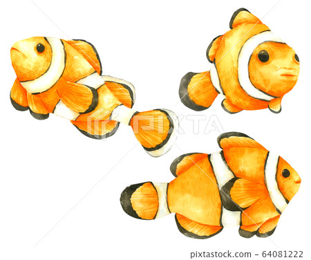 Nemo Fish watercolour set isolated on white background Nemo Fish watercolour set isolated on white background 64081222