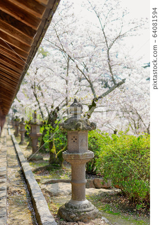 Kibitsu Shrine Kibitsu Shrine 64081594